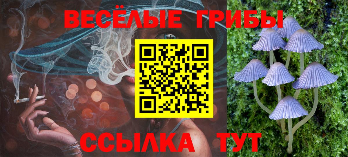 Галлюциногенные грибы мухоморы  Вход с VPN  Сатка 