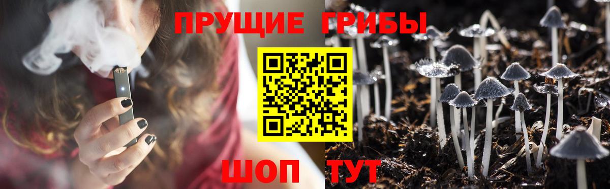 Псилоцибиновые грибы MAGIC MUSHROOMS Сатка